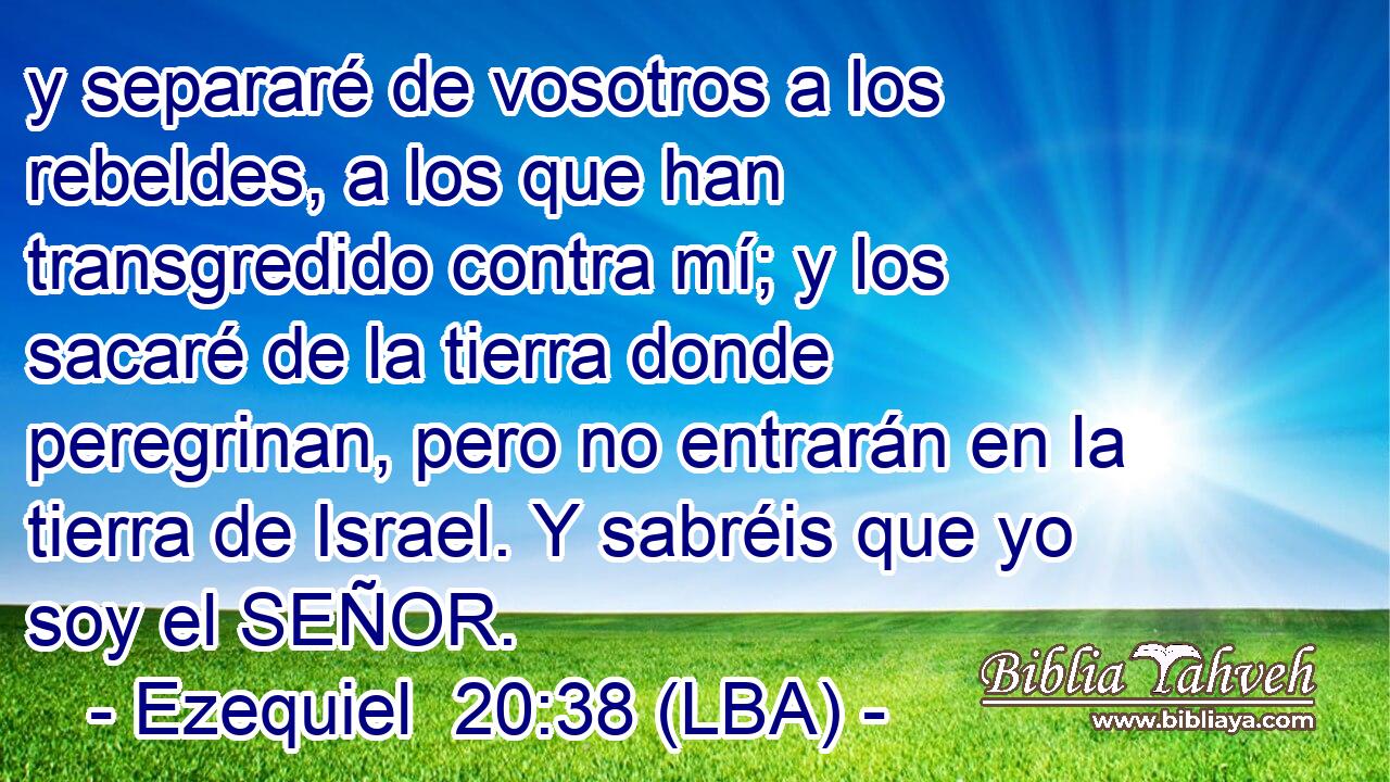 y separaré de vosotros a los rebeldes, a los que han transgredido contra mí; y los sacaré de la tierra donde peregrinan, pero no entrarán en la tierra de Israel. Y sabréis que yo soy el SEÑOR.