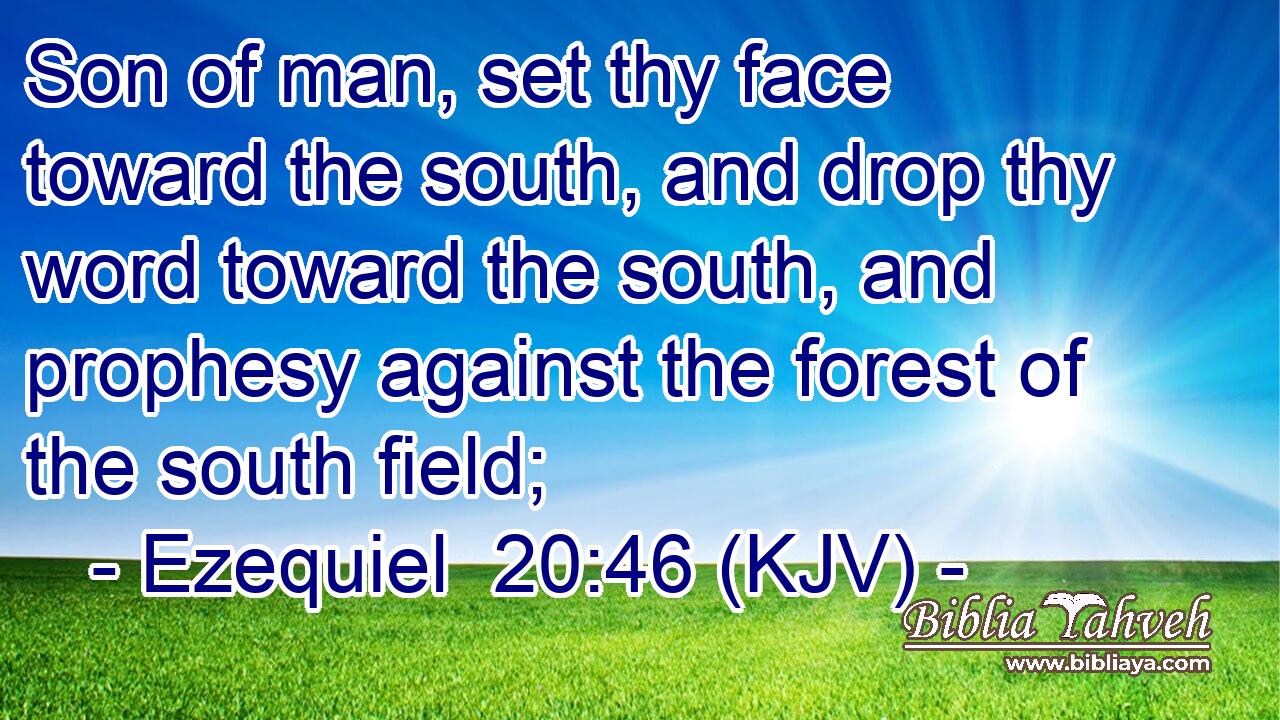 Son of man, set thy face toward the south, and drop thy word toward the south, and prophesy against the forest of the south field;