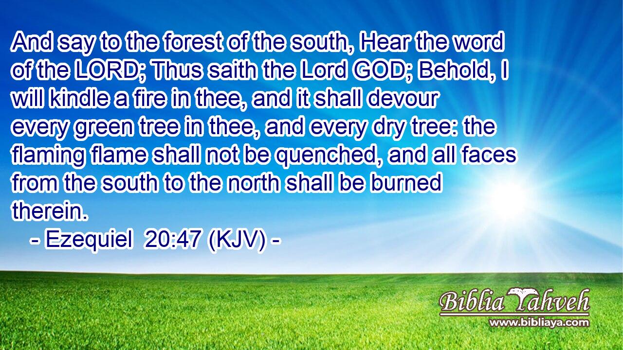 And say to the forest of the south, Hear the word of the LORD; Thus saith the Lord GOD; Behold, I will kindle a fire in thee, and it shall devour every green tree in thee, and every dry tree: the flaming flame shall not be quenched, and all faces from the south to the north shall be burned therein.