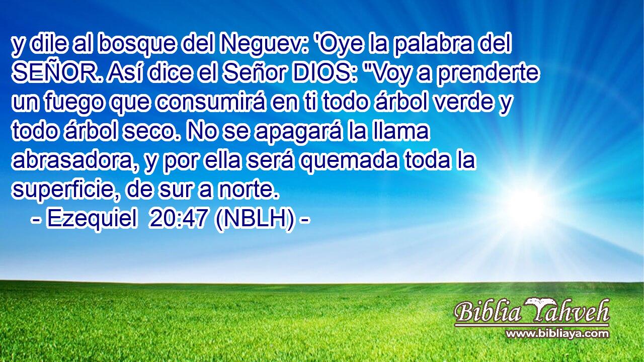  y dile al bosque del Neguev: 'Oye la palabra del SEÑOR. Así dice el Señor DIOS: 