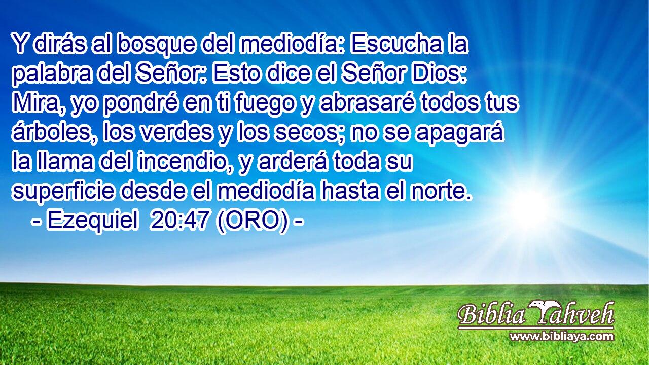  Y dirás al bosque del mediodía: Escucha la palabra del Señor: Esto dice el Señor Dios: Mira, yo pondré en ti fuego y abrasaré todos tus árboles, los verdes y los secos; no se apagará la llama del incendio, y arderá toda su superficie desde el mediodía hasta el norte. 