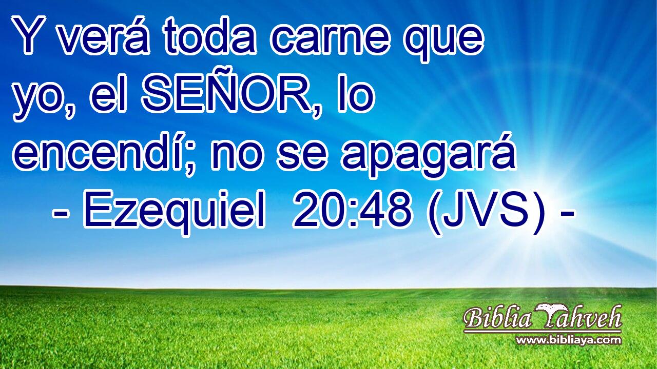 Y verá toda carne que yo, el SEÑOR, lo encendí; no se apagará
