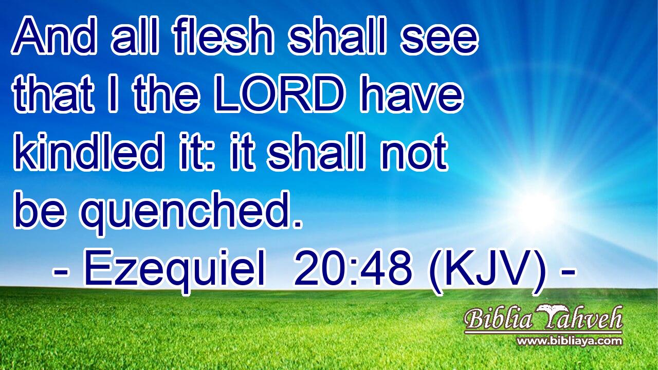 And all flesh shall see that I the LORD have kindled it: it shall not be quenched.