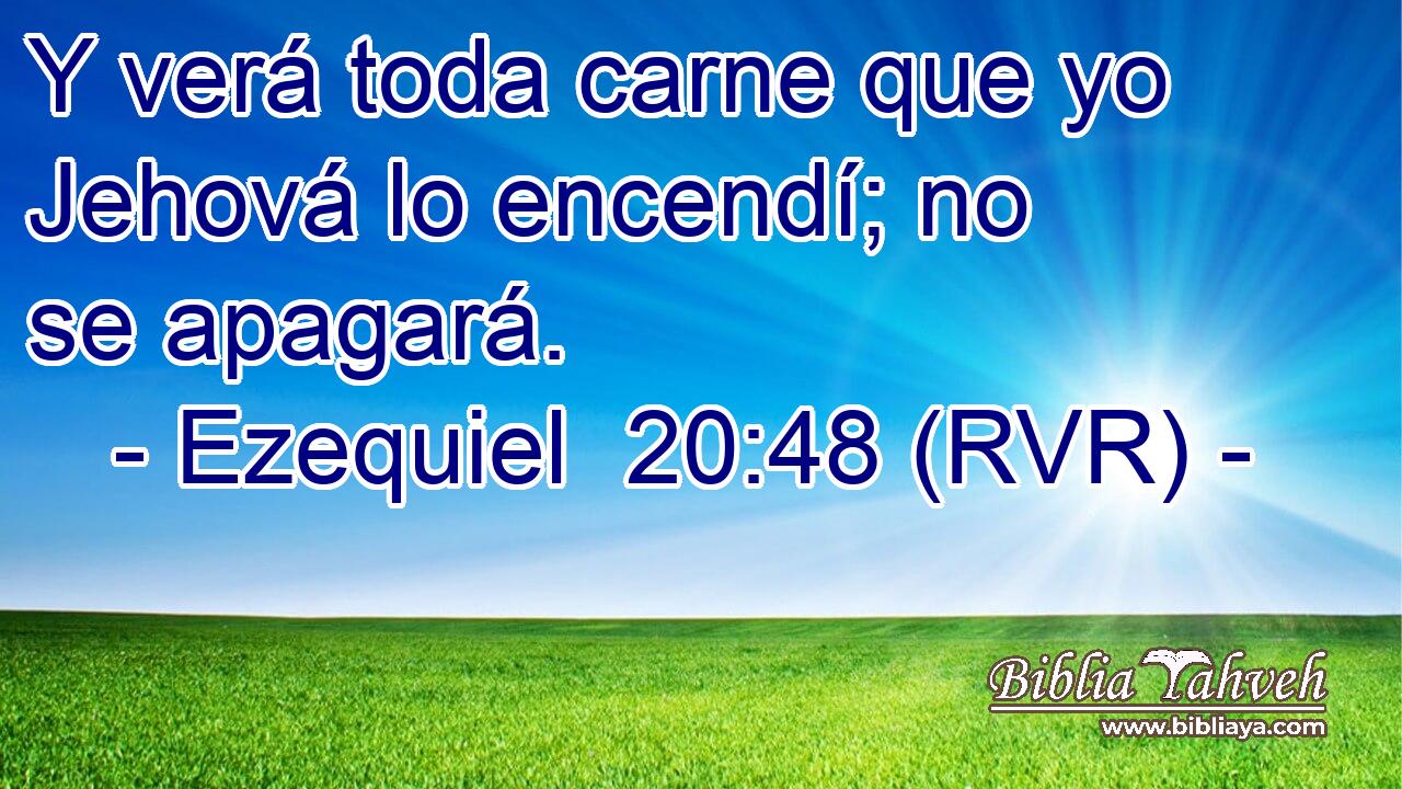 Y verá toda carne que yo Jehová lo encendí; no se apagará.