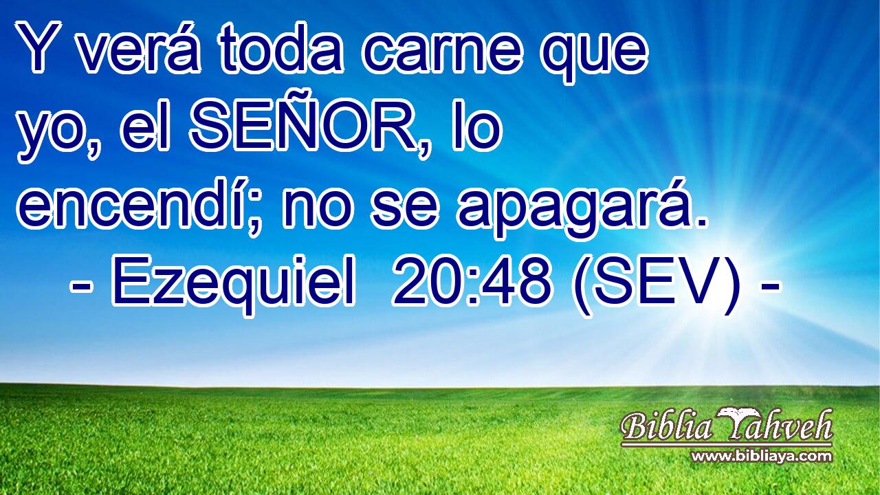 Y verá toda carne que yo, el SEÑOR, lo encendí; no se apagará.