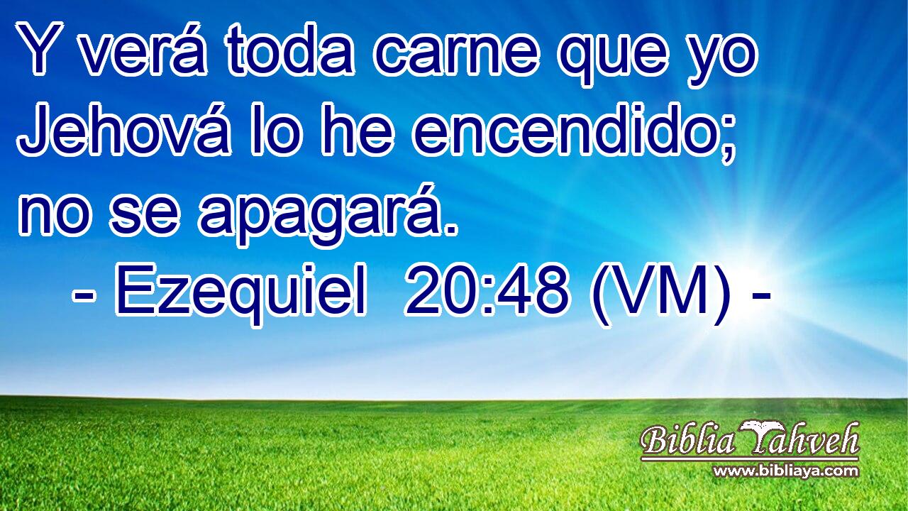  Y verá toda carne que yo Jehová lo he encendido; no se apagará. 