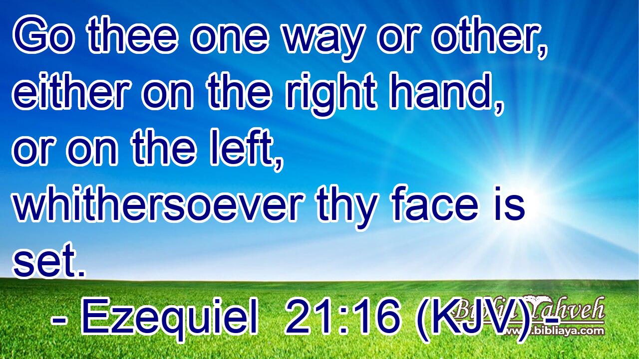 Go thee one way or other, either on the right hand, or on the left, whithersoever thy face is set.