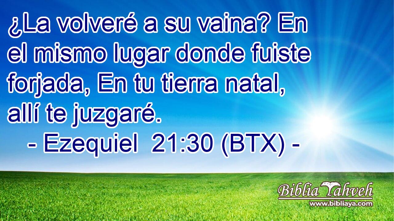 ¿La volveré a su vaina? En el mismo lugar donde fuiste forjada, En tu tierra natal, allí te juzgaré.