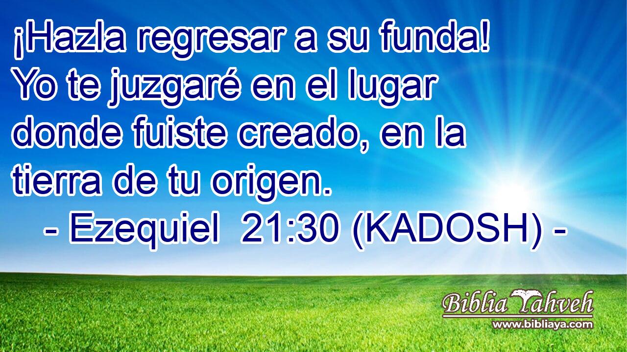  ¡Hazla regresar a su funda! Yo te juzgaré en el lugar donde fuiste creado, en la tierra de tu origen. 
