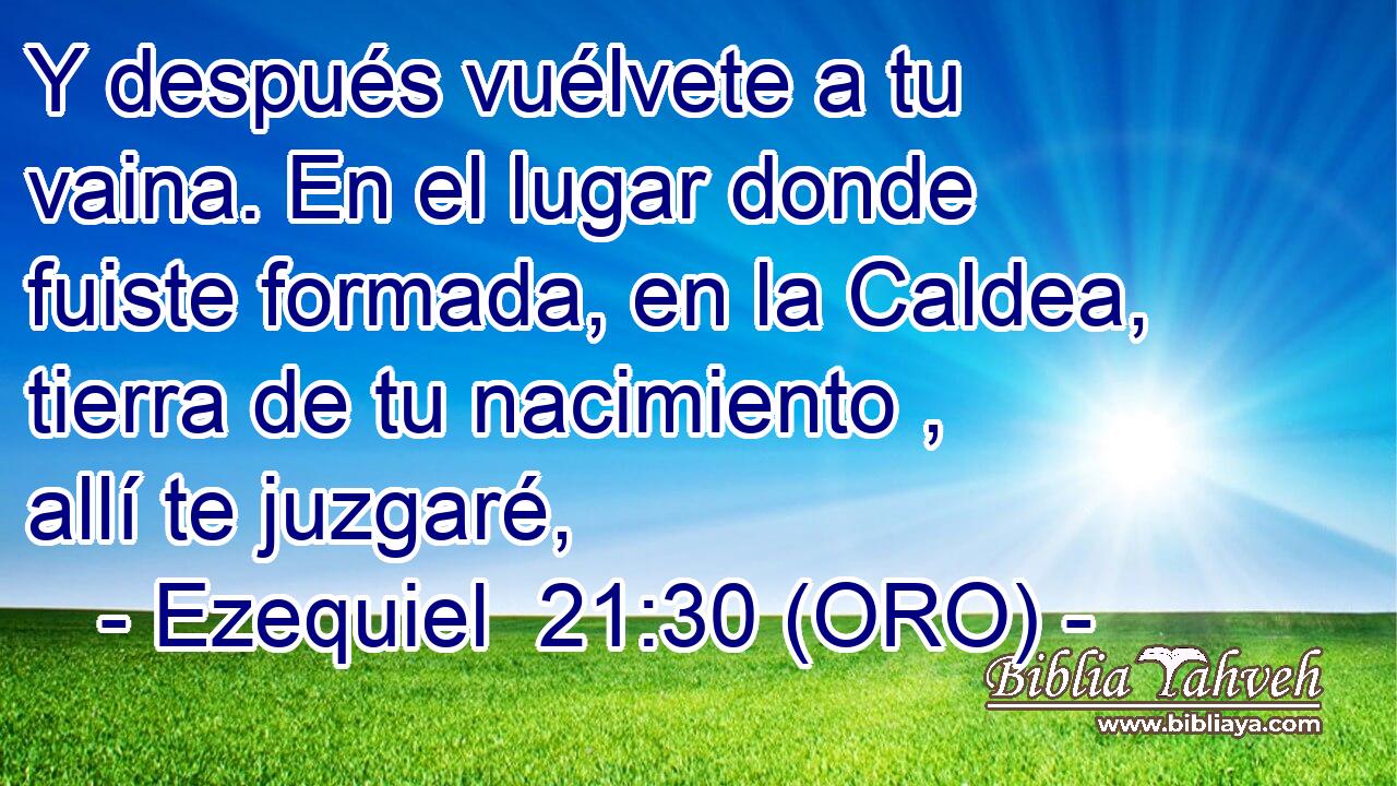  Y después vuélvete a tu vaina. En el lugar donde fuiste formada, en la Caldea, tierra de tu nacimiento , allí te juzgaré, 