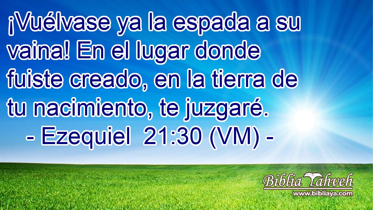  ¡Vuélvase ya la espada a su vaina! En el lugar donde fuiste creado, en la tierra de tu nacimiento, te juzgaré. 