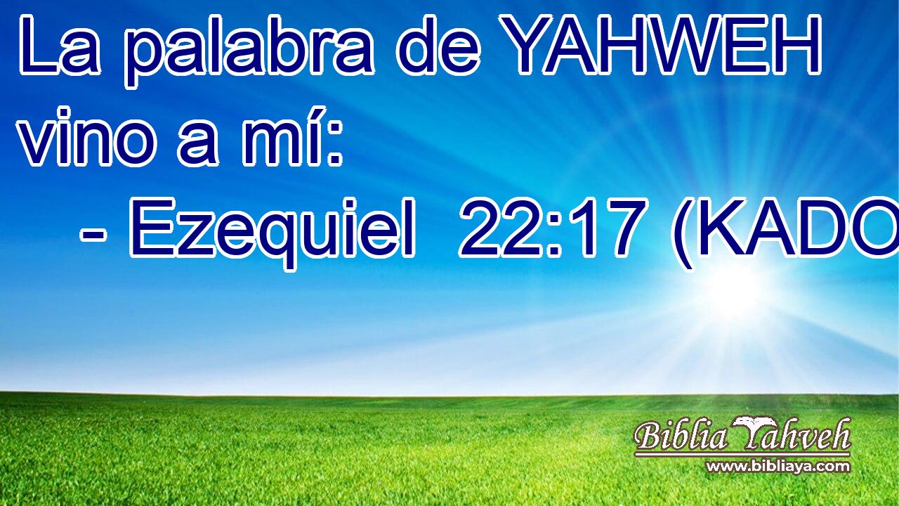  La palabra de YAHWEH vino a mí: 