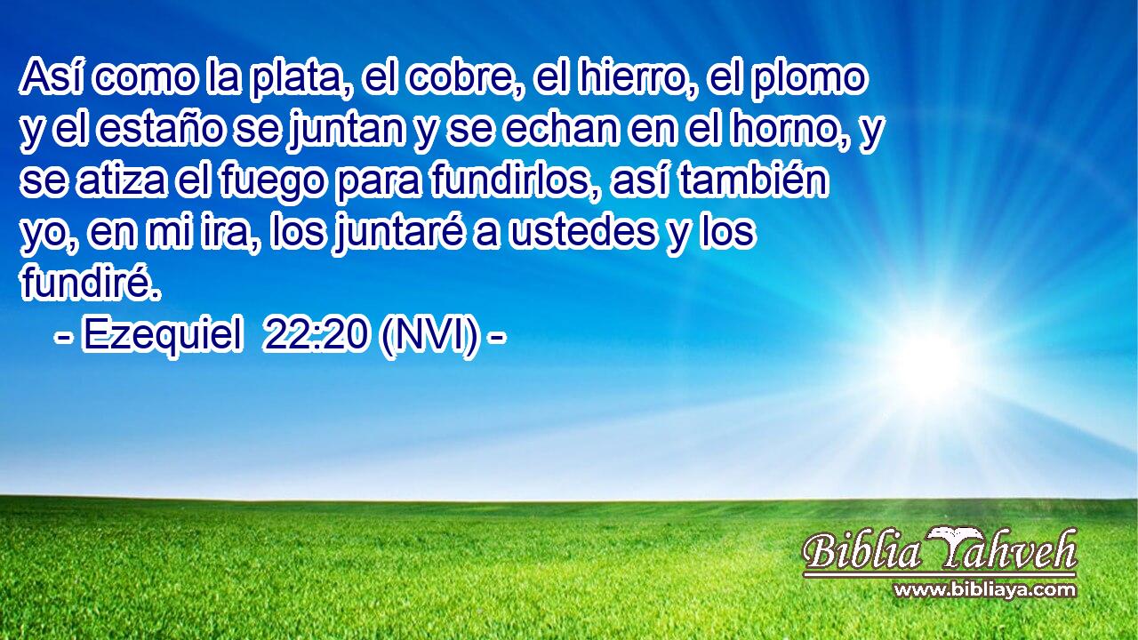  Así como la plata, el cobre, el hierro, el plomo y el estaño se juntan y se echan en el horno, y se atiza el fuego para fundirlos, así también yo, en mi ira, los juntaré a ustedes y los fundiré. 
