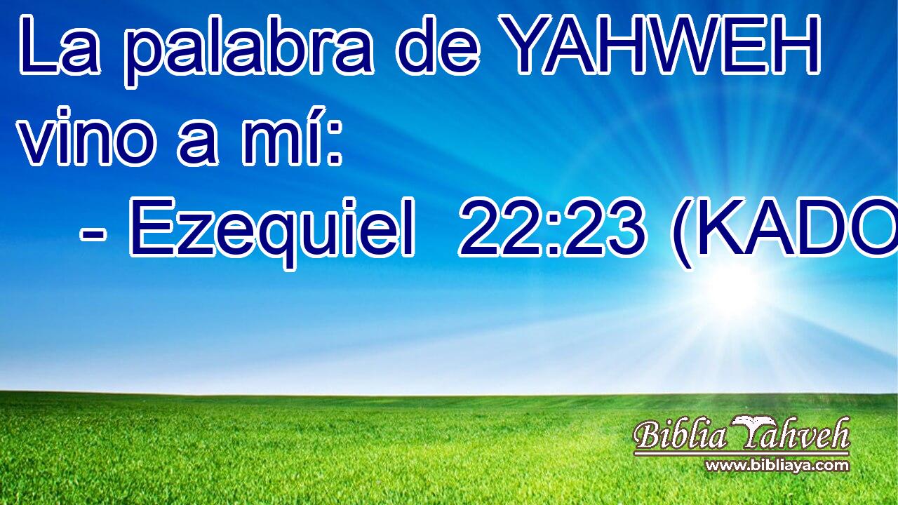  La palabra de YAHWEH vino a mí: 