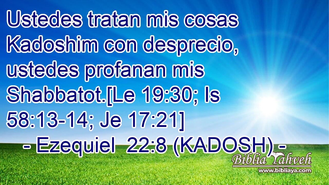  Ustedes tratan mis cosas Kadoshim con desprecio, ustedes profanan mis Shabbatot.[Le 19:30; Is 58:13-14; Je 17:21] 