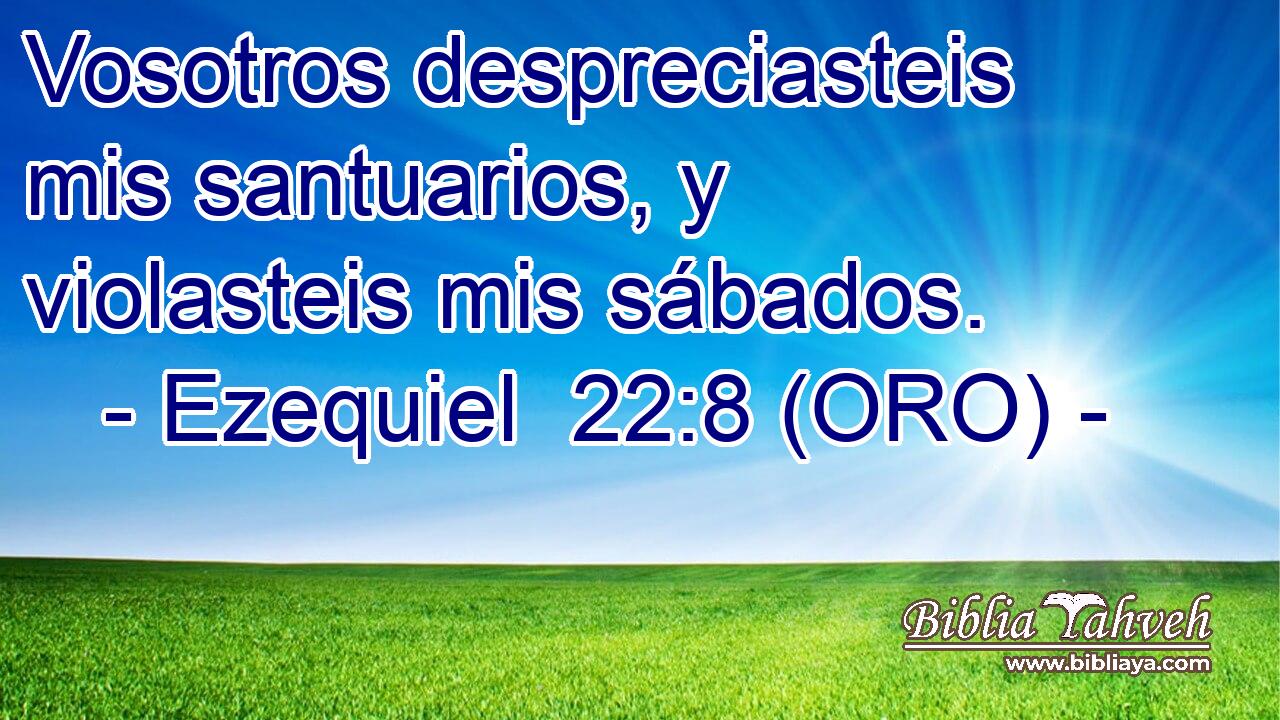  Vosotros despreciasteis mis santuarios, y violasteis mis sábados. 