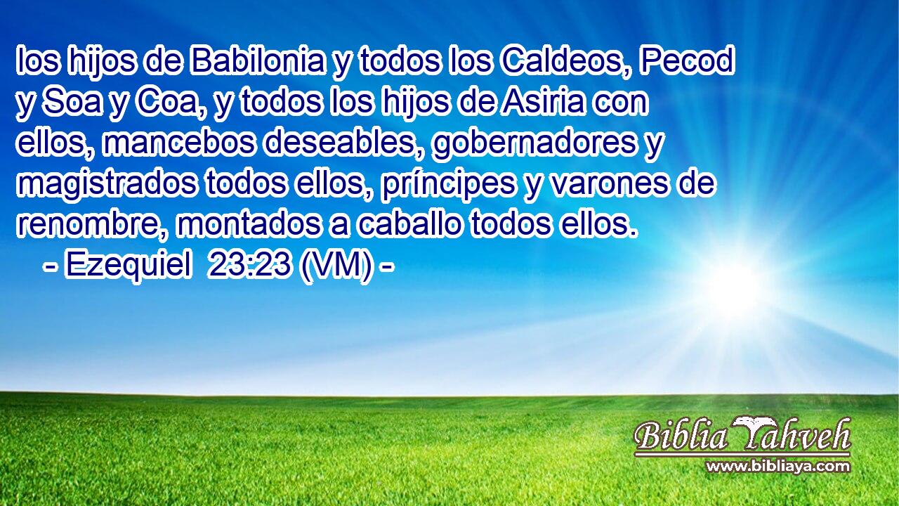  los hijos de Babilonia y todos los Caldeos, Pecod y Soa y Coa, y todos los hijos de Asiria con ellos, mancebos deseables, gobernadores y magistrados todos ellos, príncipes y varones de renombre, montados a caballo todos ellos. 