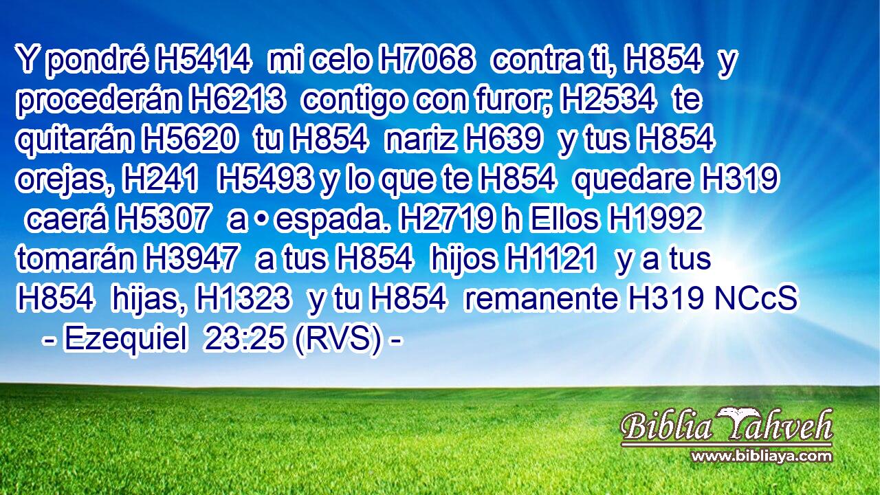 Y pondré H5414  mi celo H7068  contra ti, H854  y procederán H6213  contigo con furor; H2534  te quitarán H5620  tu H854  nariz H639  y tus H854  orejas, H241  H5493 y lo que te H854  quedare H319  caerá H5307  a • espada. H2719 h Ellos H1992  tomarán H3947  a tus H854  hijos H1121  y a tus H854  hijas, H1323  y tu H854  remanente H319 NCcS