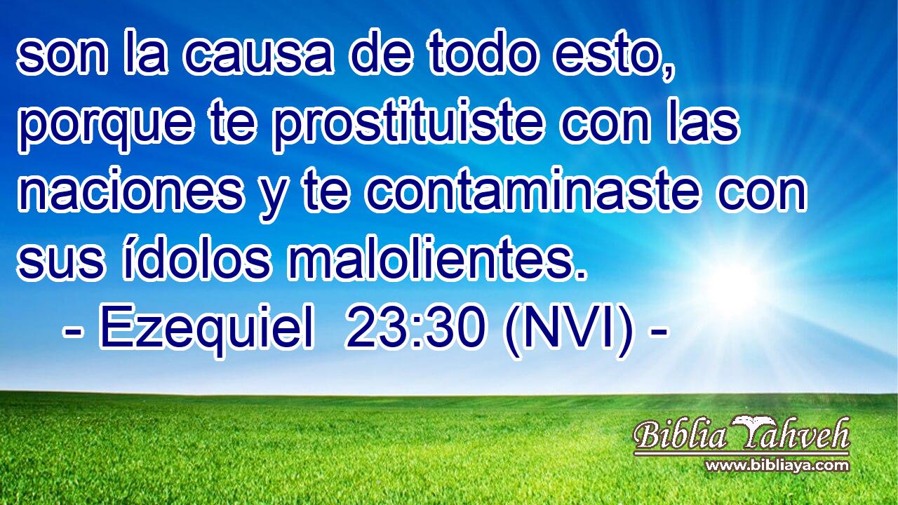  son la causa de todo esto, porque te prostituiste con las naciones y te contaminaste con sus ídolos malolientes. 