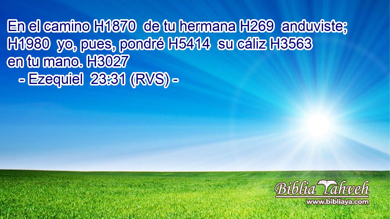 En el camino H1870  de tu hermana H269  anduviste; H1980  yo, pues, pondré H5414  su cáliz H3563  en tu mano. H3027  