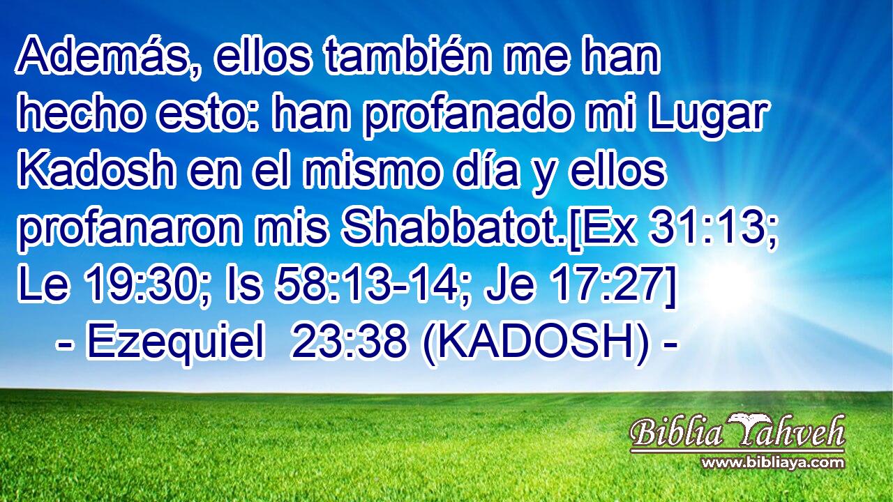  Además, ellos también me han hecho esto: han profanado mi Lugar Kadosh en el mismo día y ellos profanaron mis Shabbatot.[Ex 31:13; Le 19:30; Is 58:13-14; Je 17:27] 