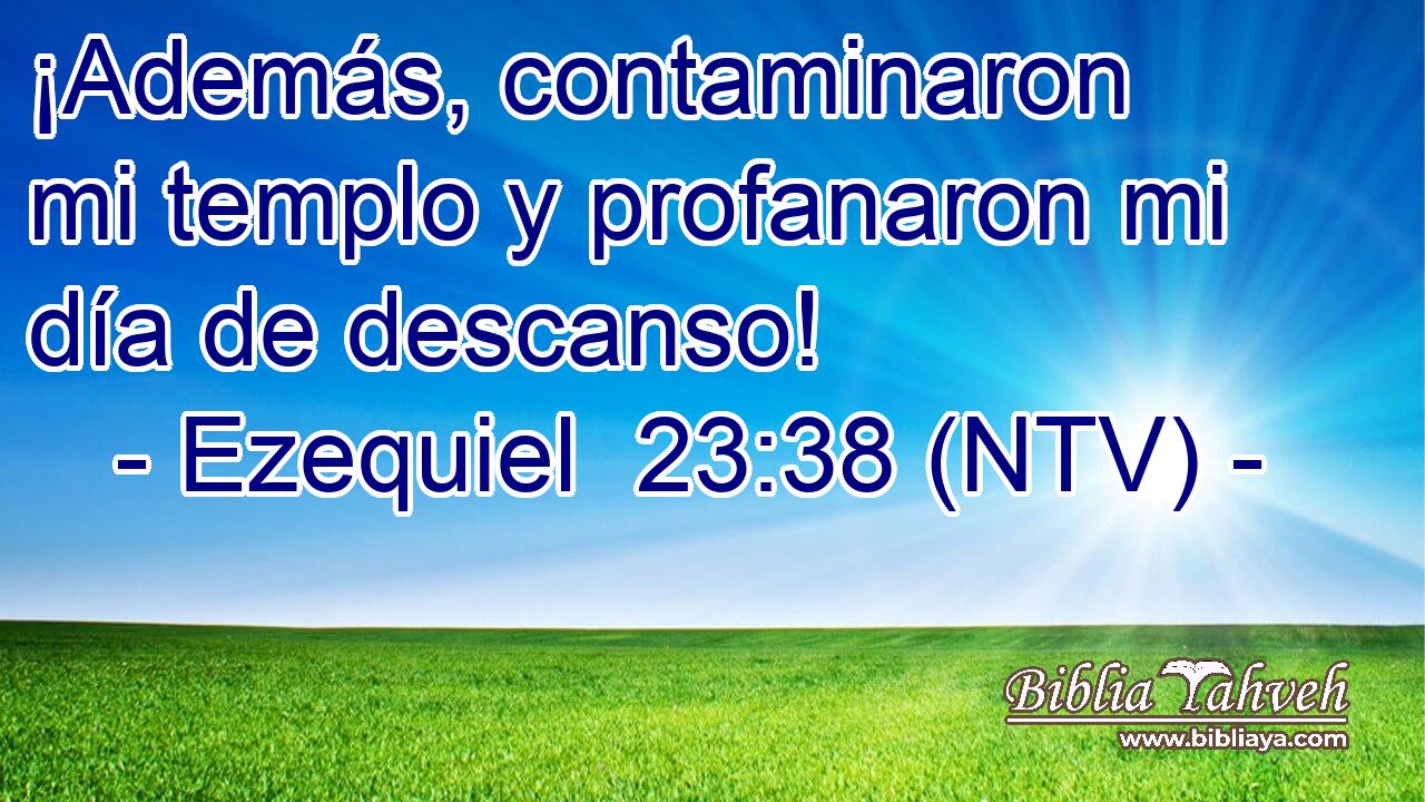 ¡Además, contaminaron mi templo y profanaron mi día de descanso!