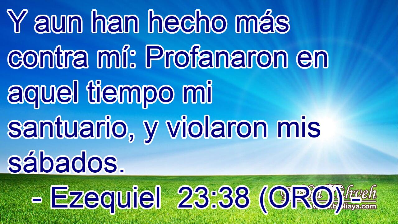  Y aun han hecho más contra mí: Profanaron en aquel tiempo mi santuario, y violaron mis sábados. 
