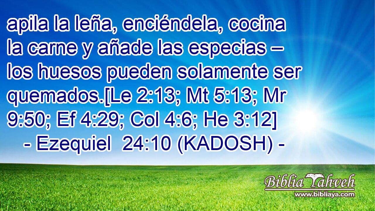  apila la leña, enciéndela, cocina la carne y añade las especias – los huesos pueden solamente ser quemados.[Le 2:13; Mt 5:13; Mr 9:50; Ef 4:29; Col 4:6; He 3:12] 