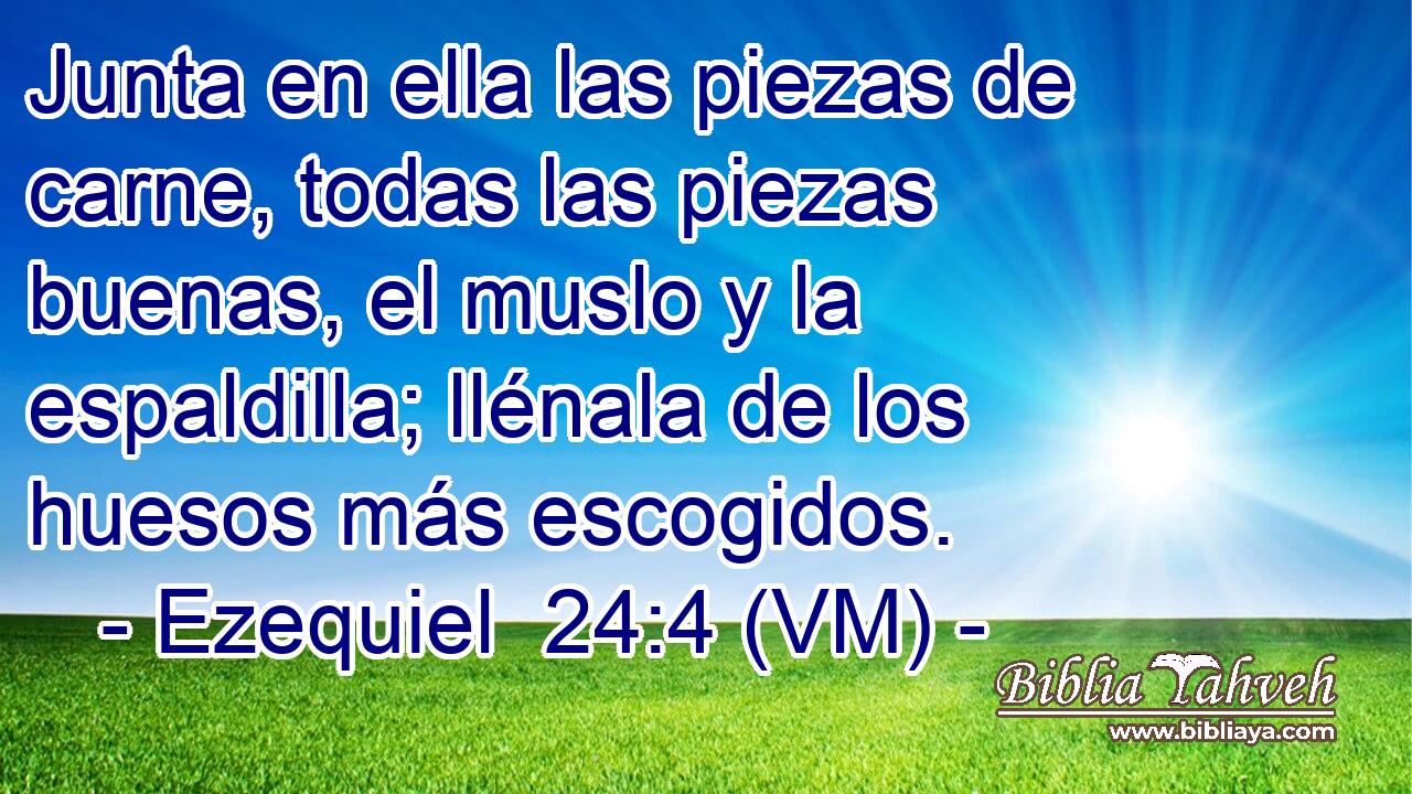  Junta en ella las piezas de carne, todas las piezas buenas, el muslo y la espaldilla; llénala de los huesos más escogidos. 