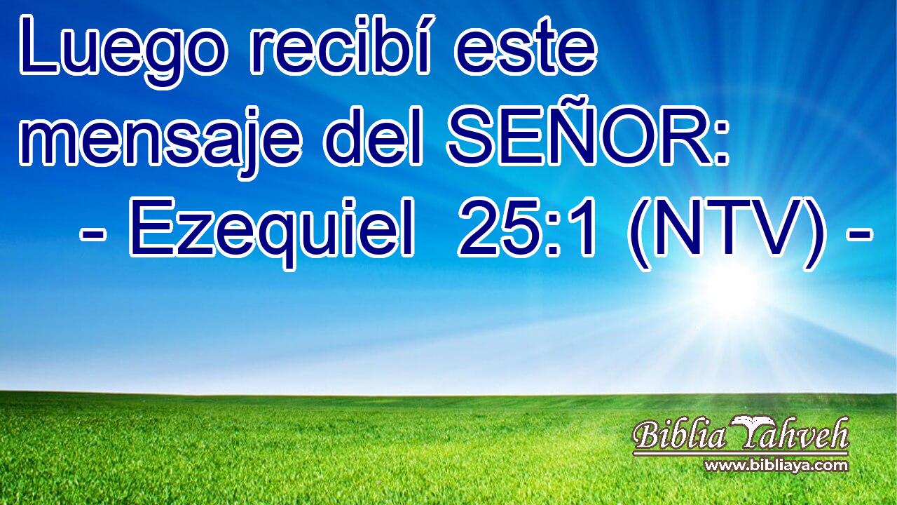 Luego recibí este mensaje del SEÑOR: