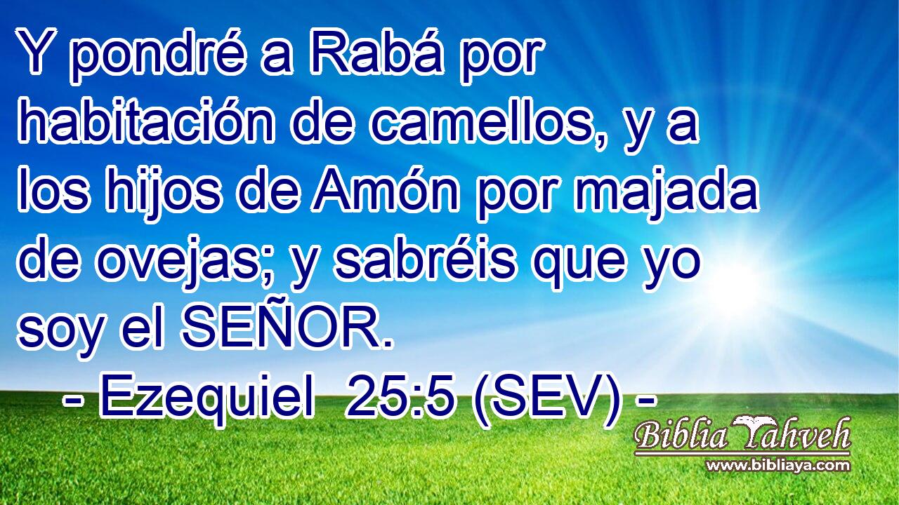 Y pondré a Rabá por habitación de camellos, y a los hijos de Amón por majada de ovejas; y sabréis que yo soy el SEÑOR.