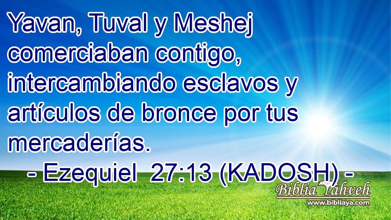  Yavan, Tuval y Meshej comerciaban contigo, intercambiando esclavos y artículos de bronce por tus mercaderías. 