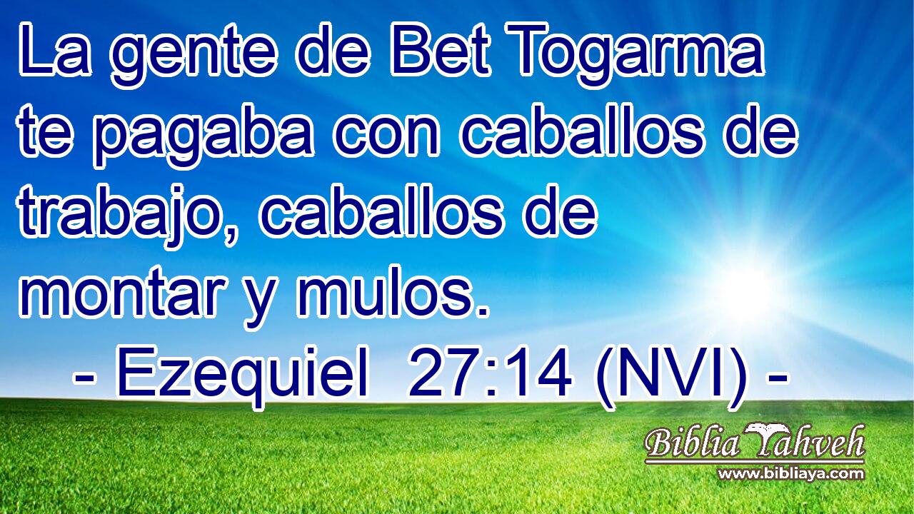  La gente de Bet Togarma te pagaba con caballos de trabajo, caballos de montar y mulos. 