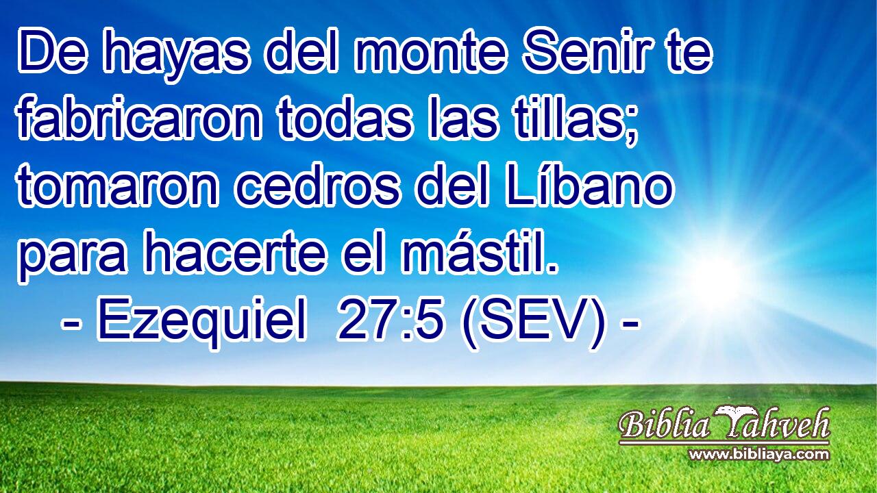 De hayas del monte Senir te fabricaron todas las tillas; tomaron cedros del Líbano para hacerte el mástil.