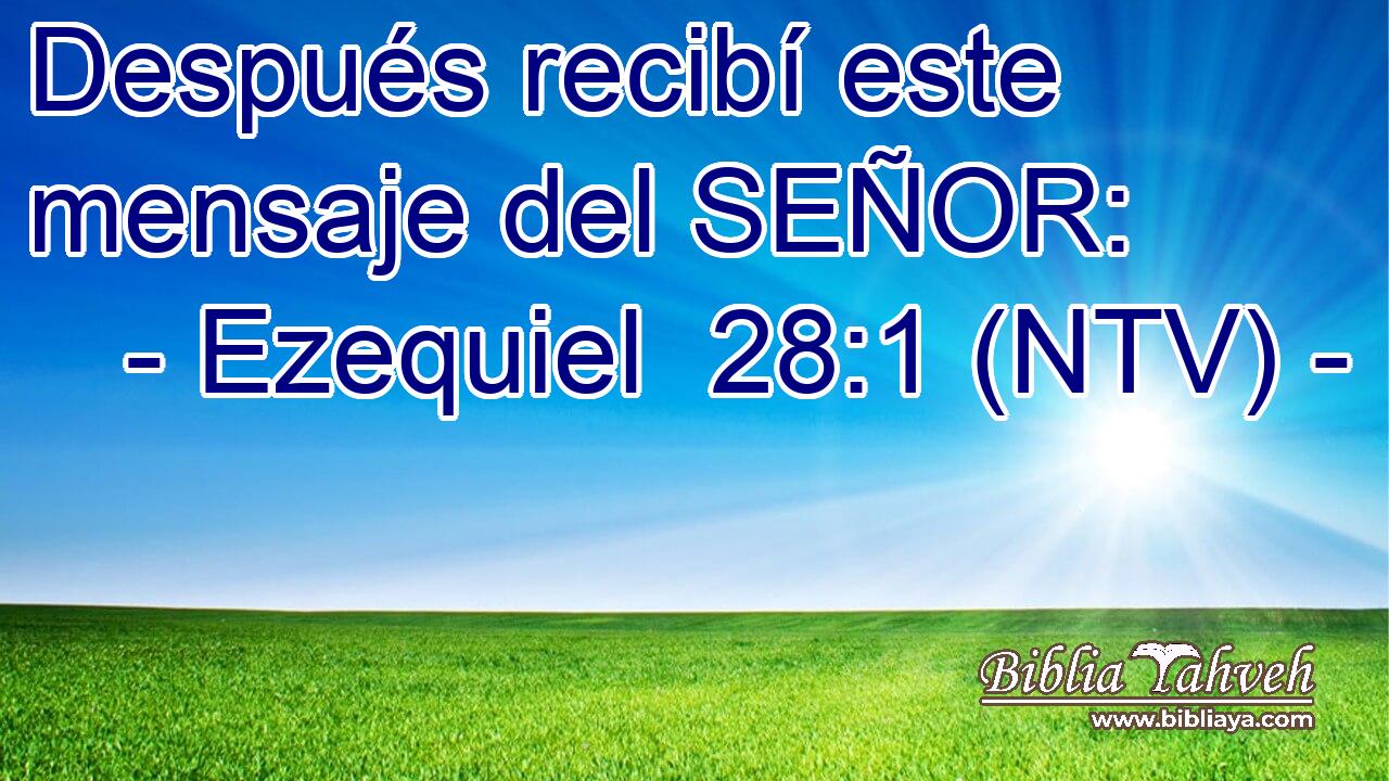 Después recibí este mensaje del SEÑOR: