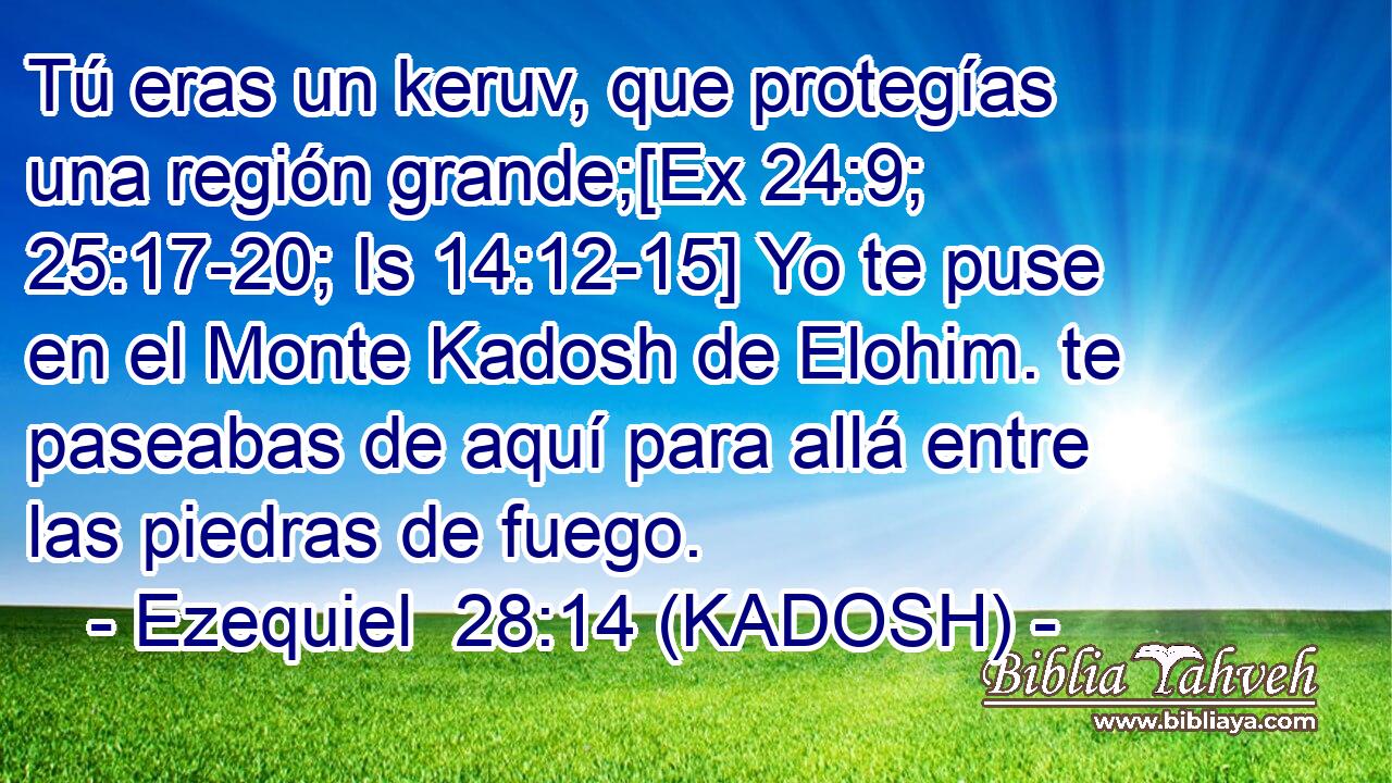  Tú eras un keruv, que protegías una región grande;[Ex 24:9; 25:17-20; Is 14:12-15] Yo te puse en el Monte Kadosh de Elohim. te paseabas de aquí para allá entre las piedras de fuego. 