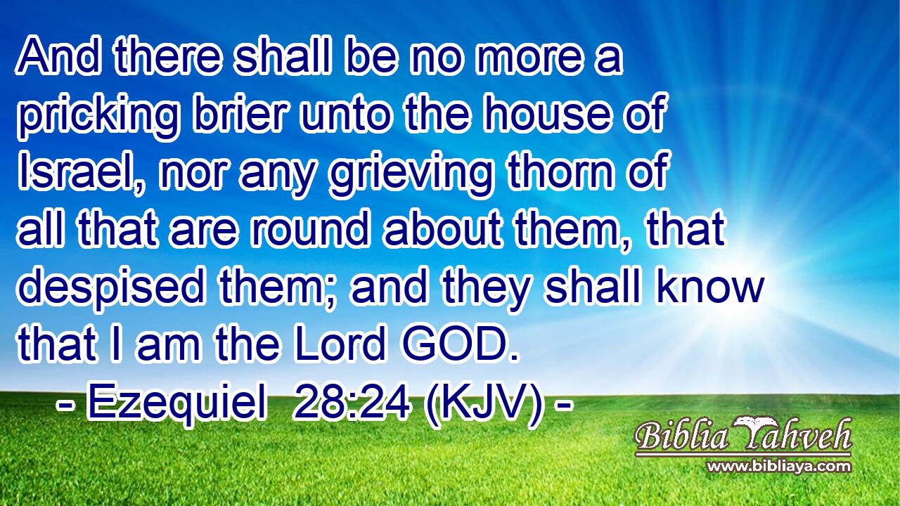 And there shall be no more a pricking brier unto the house of Israel, nor any grieving thorn of all that are round about them, that despised them; and they shall know that I am the Lord GOD.