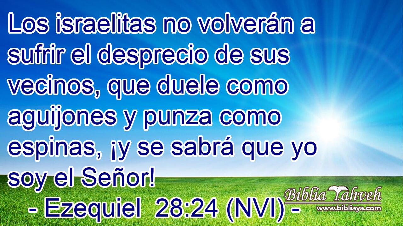  Los israelitas no volverán a sufrir el desprecio de sus vecinos, que duele como aguijones y punza como espinas, ¡y se sabrá que yo soy el Señor! 