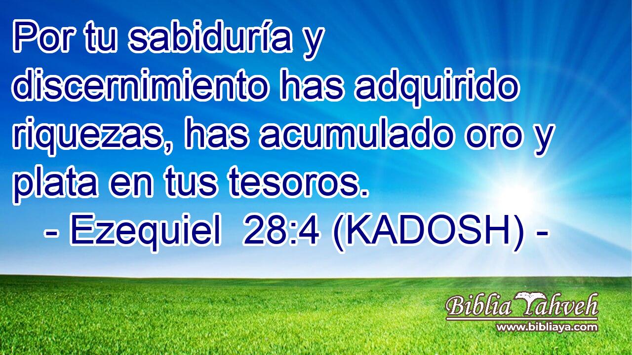  Por tu sabiduría y discernimiento has adquirido riquezas, has acumulado oro y plata en tus tesoros. 