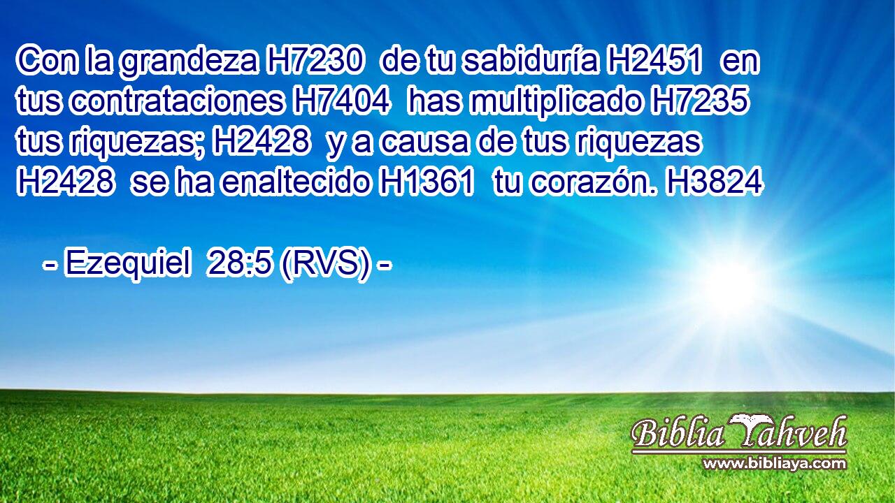 Con la grandeza H7230  de tu sabiduría H2451  en tus contrataciones H7404  has multiplicado H7235  tus riquezas; H2428  y a causa de tus riquezas H2428  se ha enaltecido H1361  tu corazón. H3824  