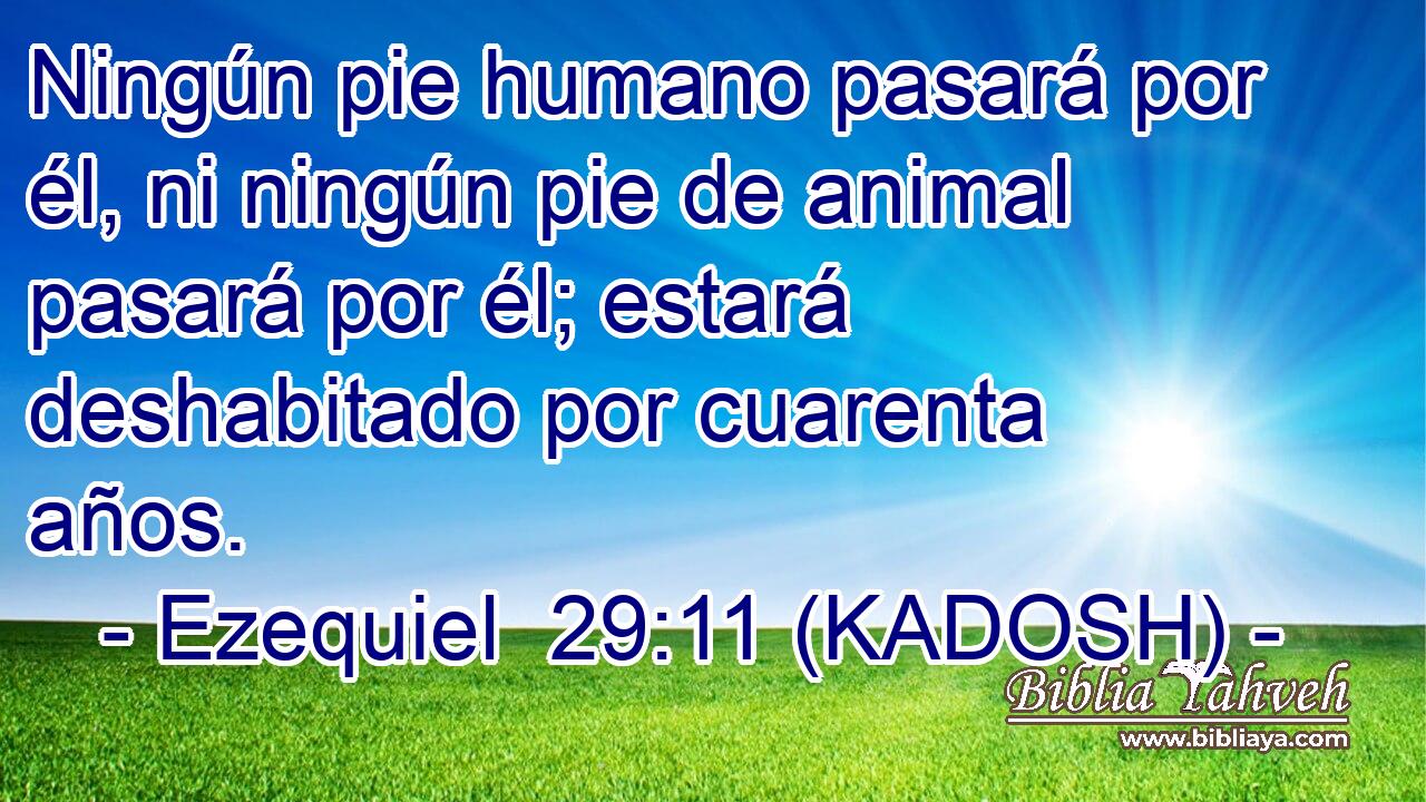  Ningún pie humano pasará por él, ni ningún pie de animal pasará por él; estará deshabitado por cuarenta años. 