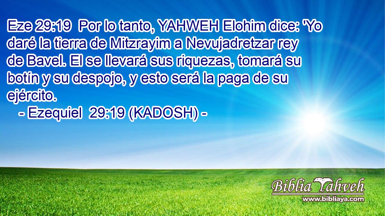 Por lo tanto, YAHWEH Elohim dice: 'Yo daré la tierra de Mitzrayim a Nevujadretzar rey de Bavel. El se llevará sus riquezas, tomará su botín y su despojo, y esto será la paga de su ejército. 