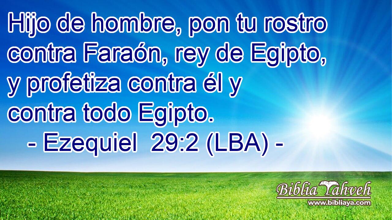 Hijo de hombre, pon tu rostro contra Faraón, rey de Egipto, y profetiza contra él y contra todo Egipto.
