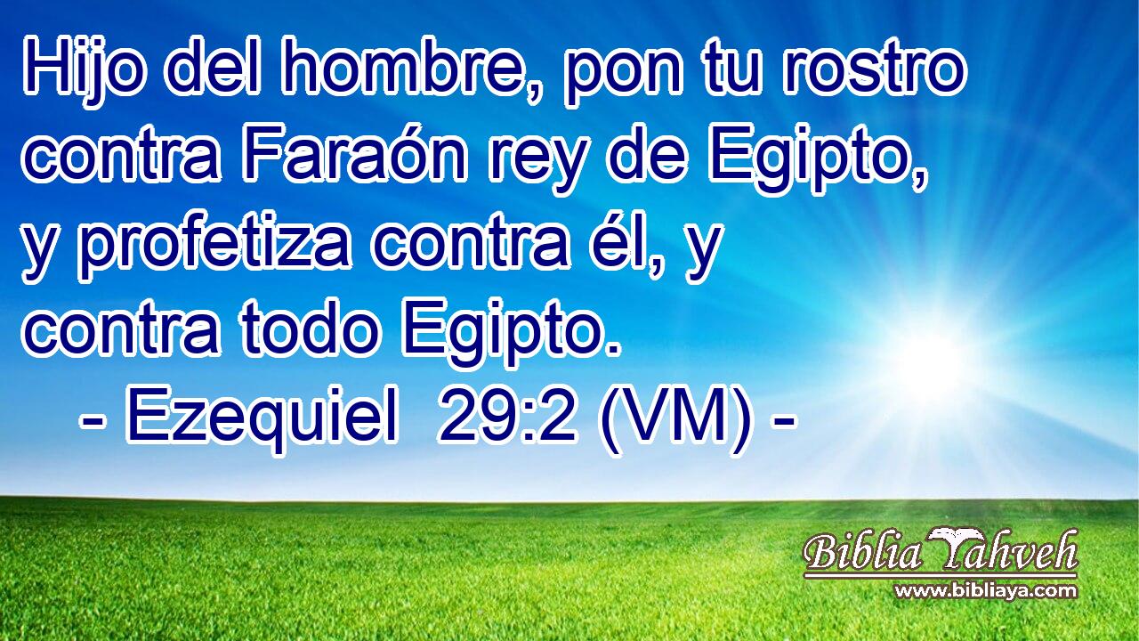  Hijo del hombre, pon tu rostro contra Faraón rey de Egipto, y profetiza contra él, y contra todo Egipto. 