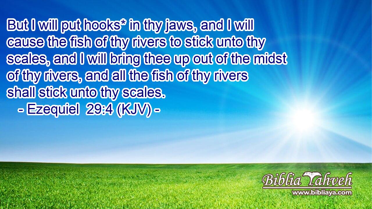 But I will put hooks* in thy jaws, and I will cause the fish of thy rivers to stick unto thy scales, and I will bring thee up out of the midst of thy rivers, and all the fish of thy rivers shall stick unto thy scales.