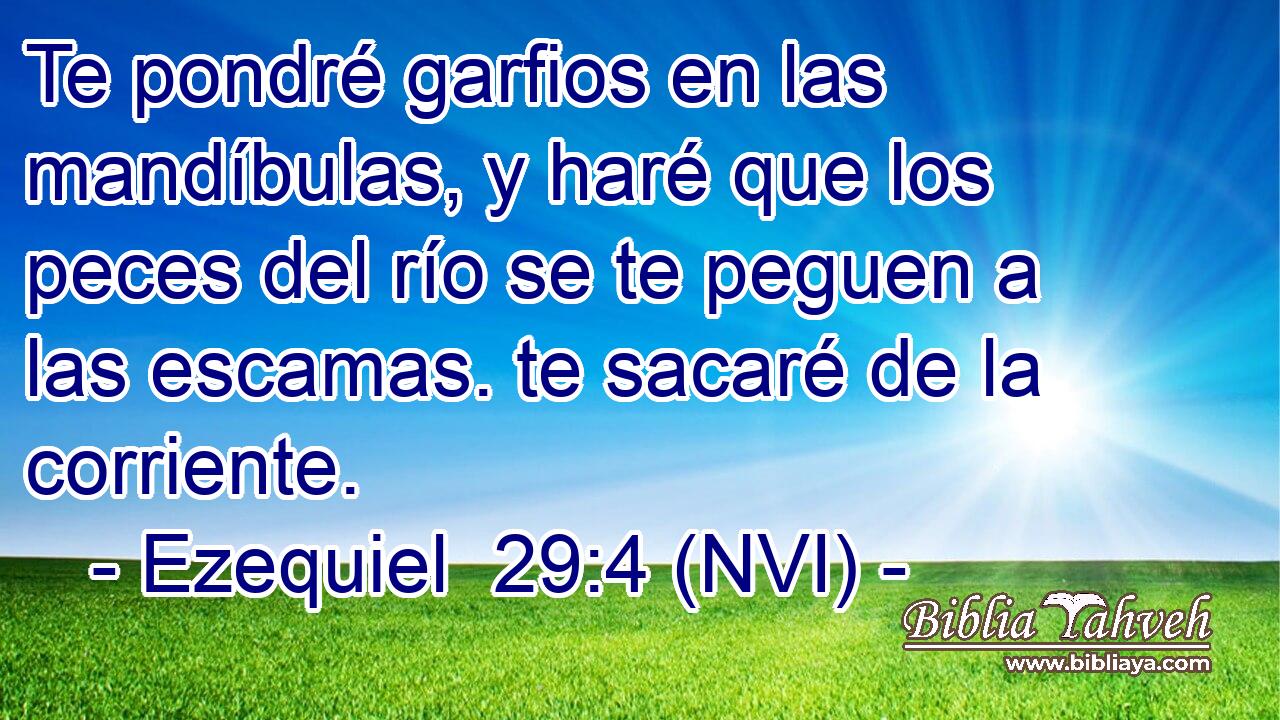  Te pondré garfios en las mandíbulas, y haré que los peces del río se te peguen a las escamas. te sacaré de la corriente. 