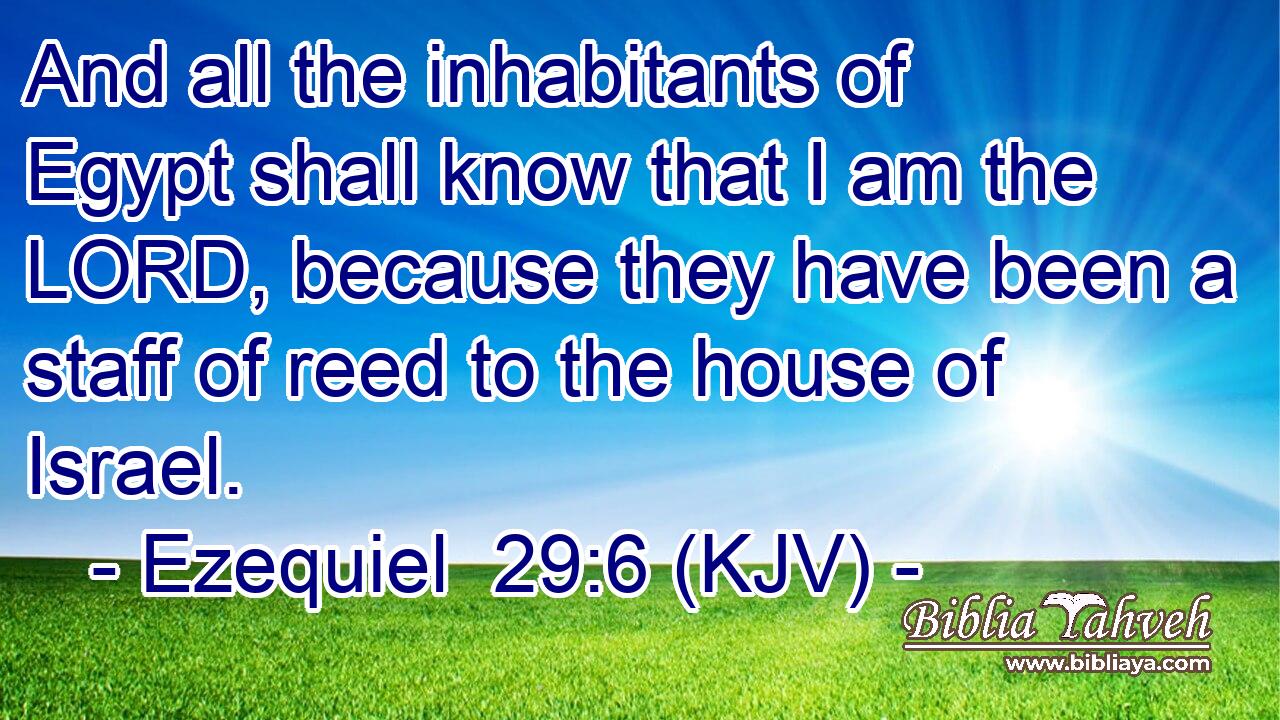 And all the inhabitants of Egypt shall know that I am the LORD, because they have been a staff of reed to the house of Israel.