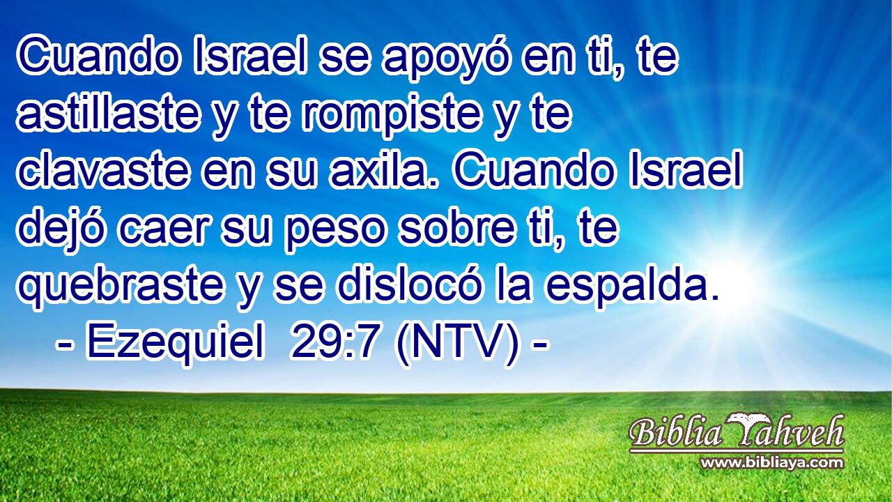 Cuando Israel se apoyó en ti, te astillaste y te rompiste y te clavaste en su axila. Cuando Israel dejó caer su peso sobre ti, te quebraste y se dislocó la espalda.