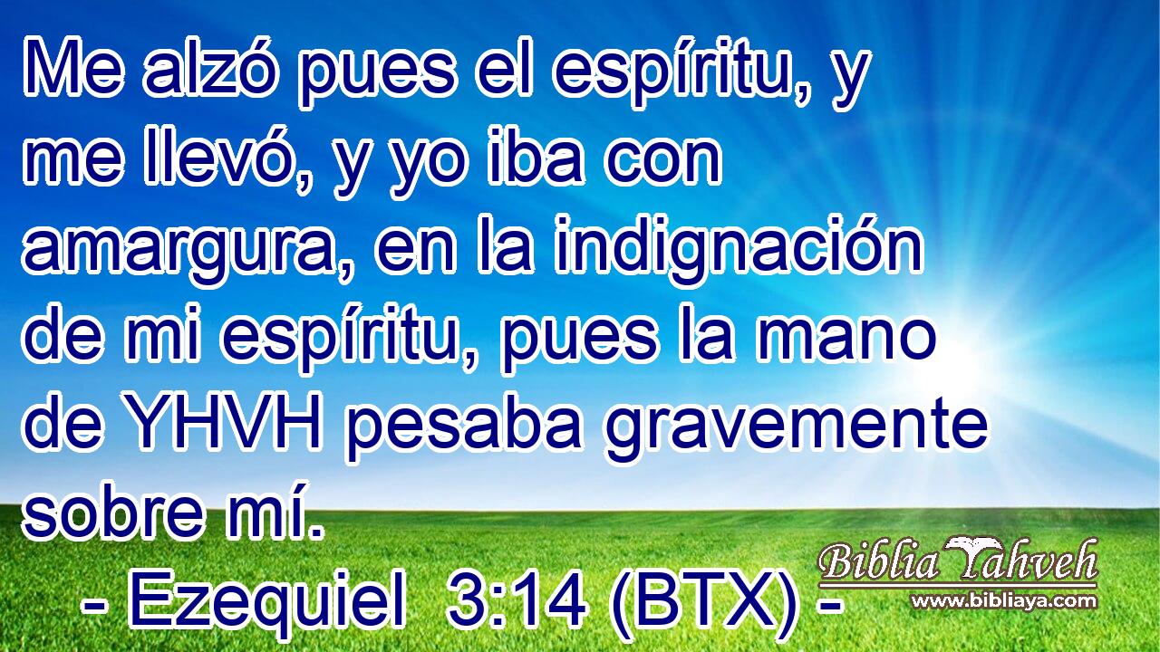 Me alzó pues el espíritu, y me llevó, y yo iba con amargura, en la indignación de mi espíritu, pues la mano de YHVH pesaba gravemente sobre mí.