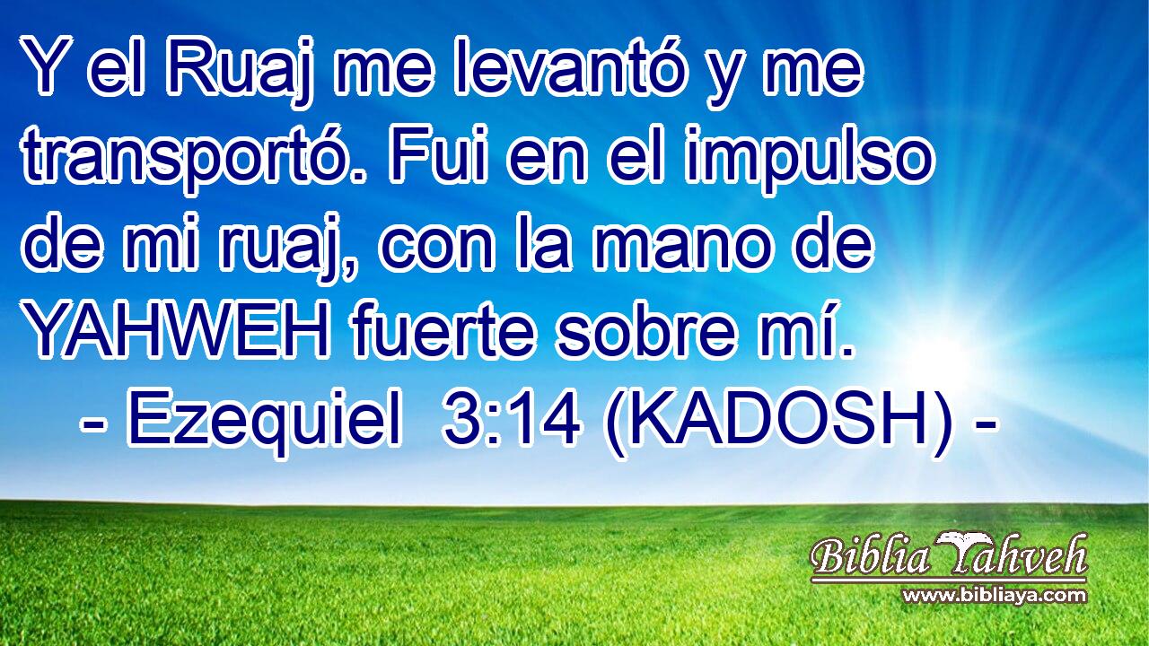  Y el Ruaj me levantó y me transportó. Fui en el impulso de mi ruaj, con la mano de YAHWEH fuerte sobre mí. 